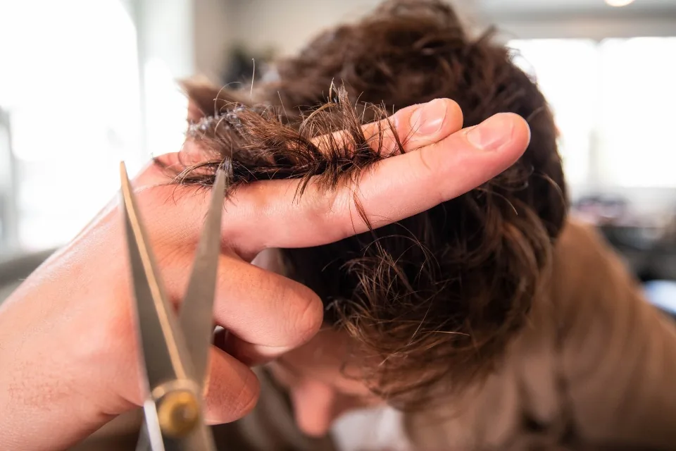 A hairdresser cutting a client's hair with scissors